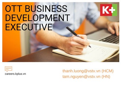 OTT Business Development Executive